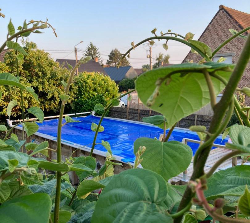 Photo of Others in Lecelles