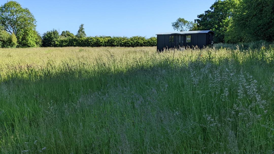 Photo of Others in Chediston