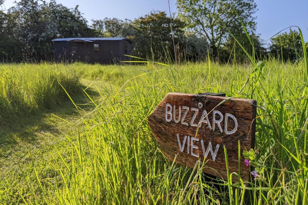 Photo of Others in Chediston