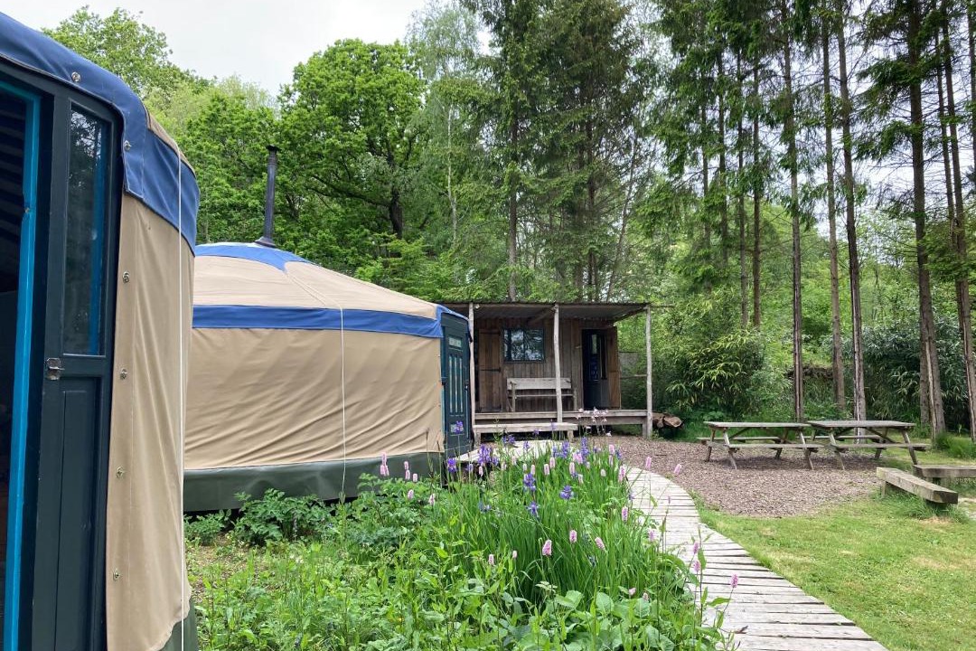 Photo of Others in Rye