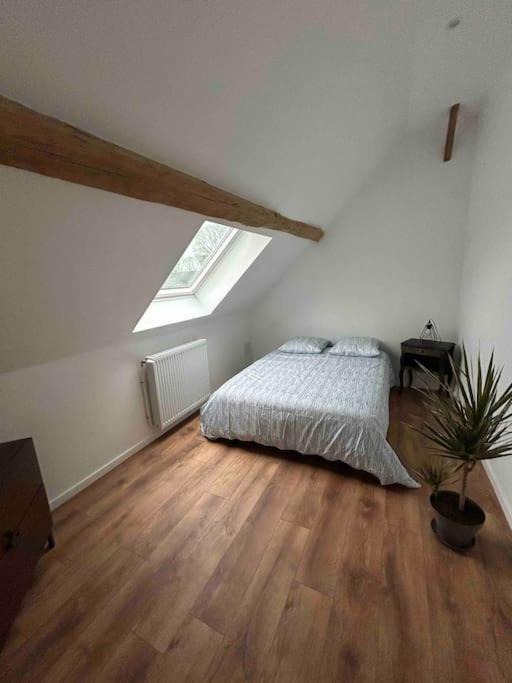 Photo of Others in Sasseville