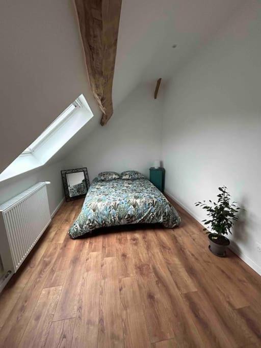 Photo of Others in Sasseville