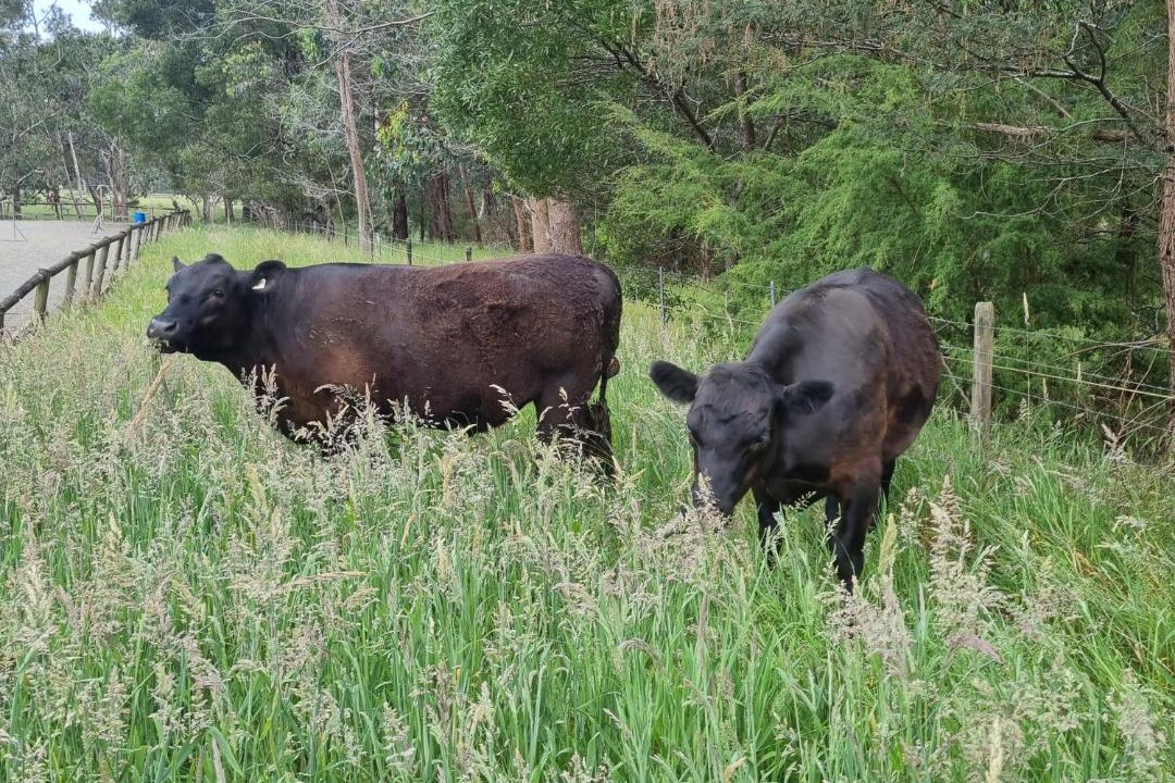 Photo of Others in Macclesfield