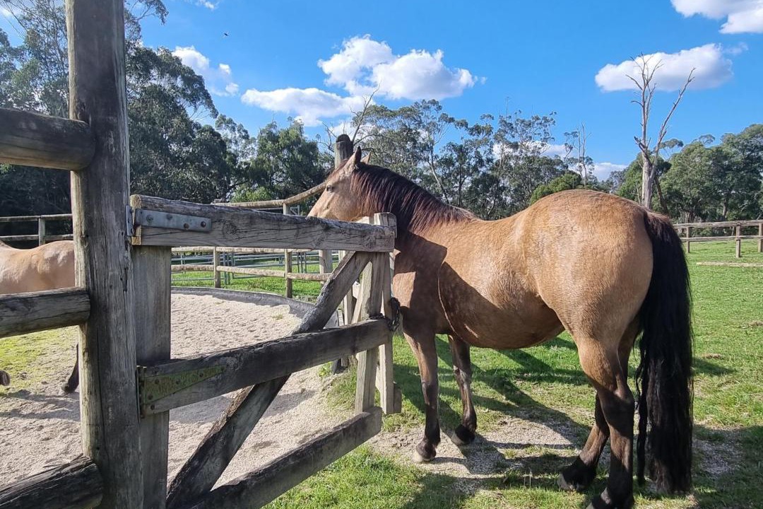Photo of Others in Macclesfield
