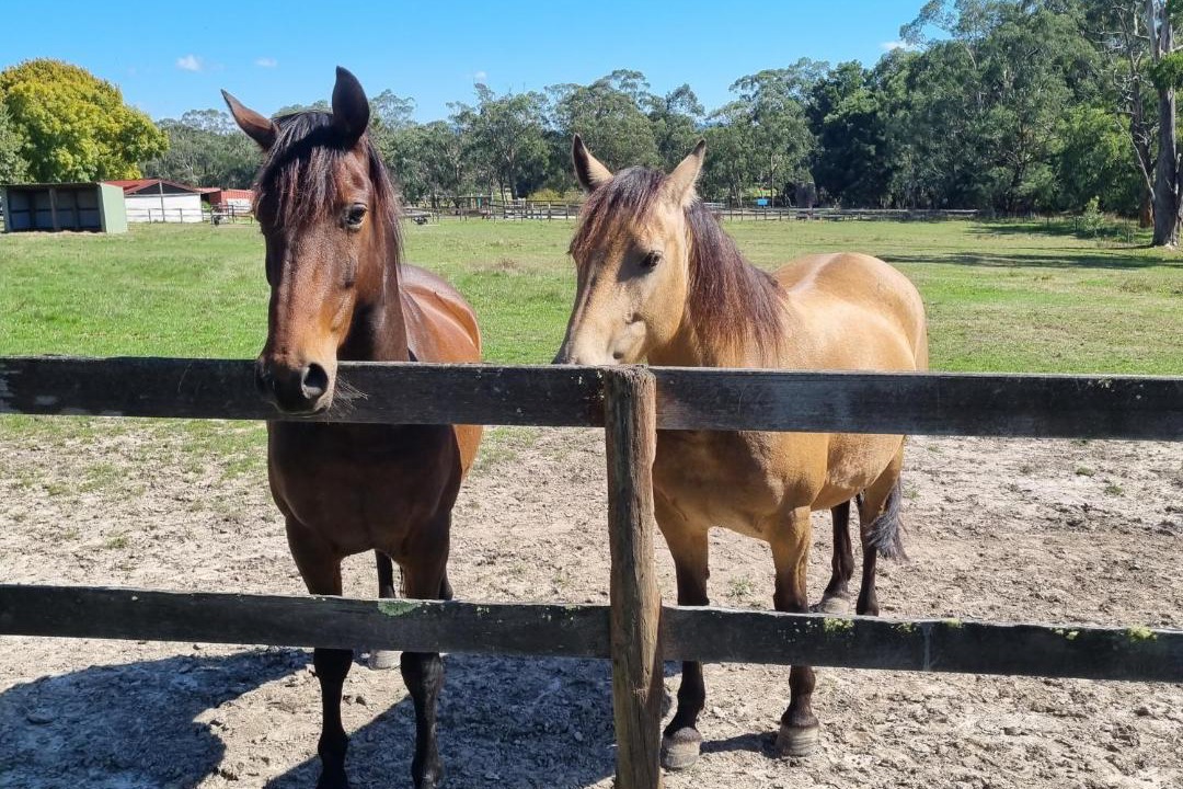 Photo of Others in Macclesfield