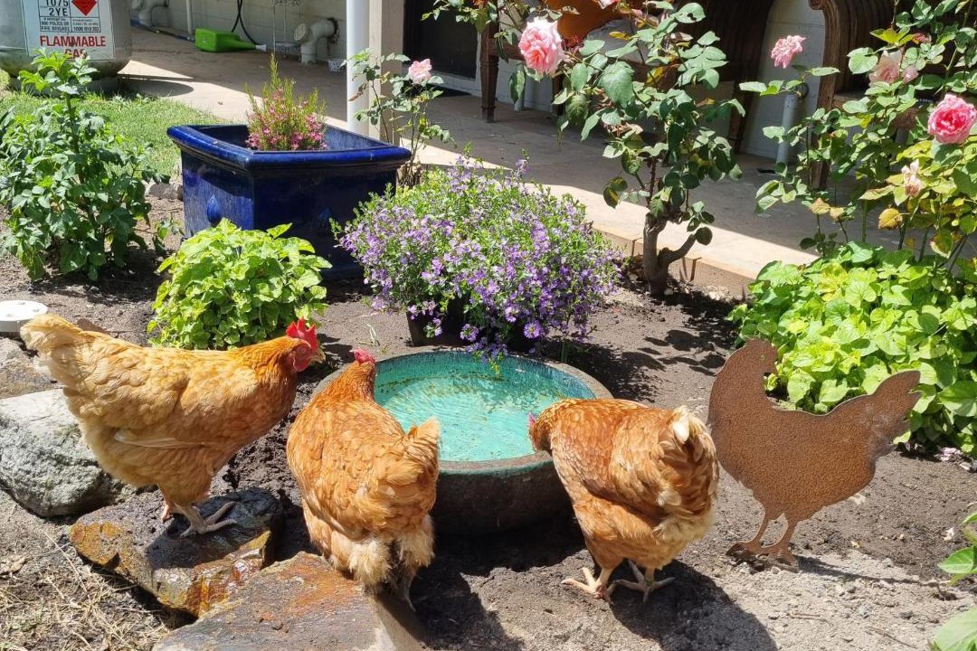 Photo of Others in Macclesfield