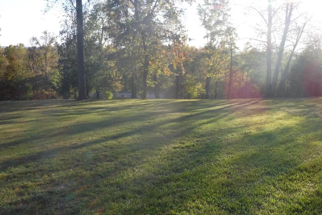 Photo of Others in Brownsville