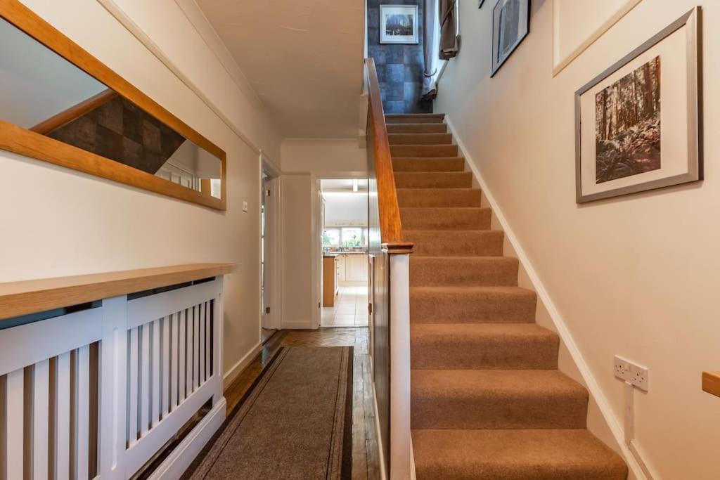 Photo of Others in Netley