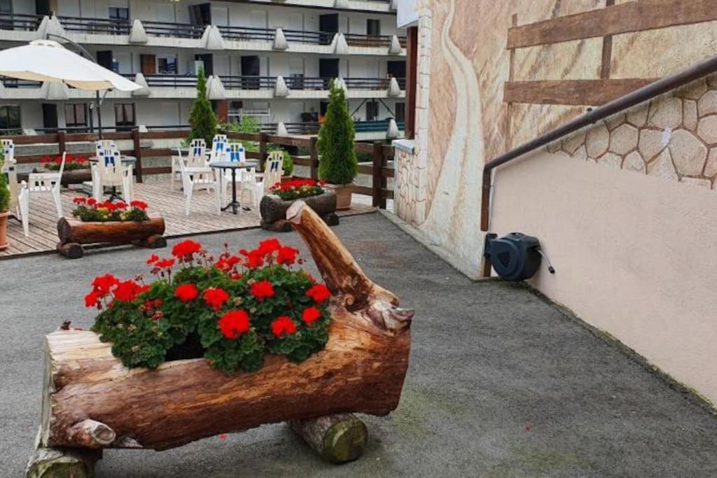 Photo of Others in Vionnaz