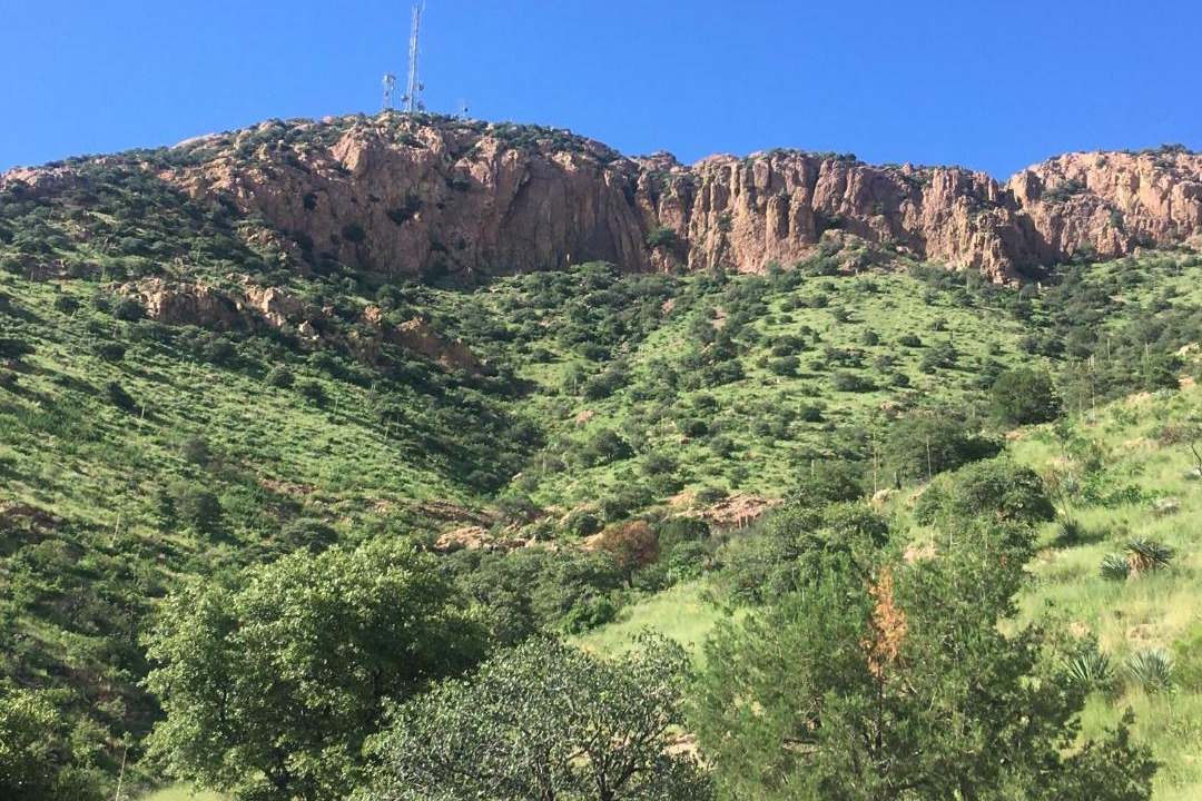 Photo of Others in Bisbee
