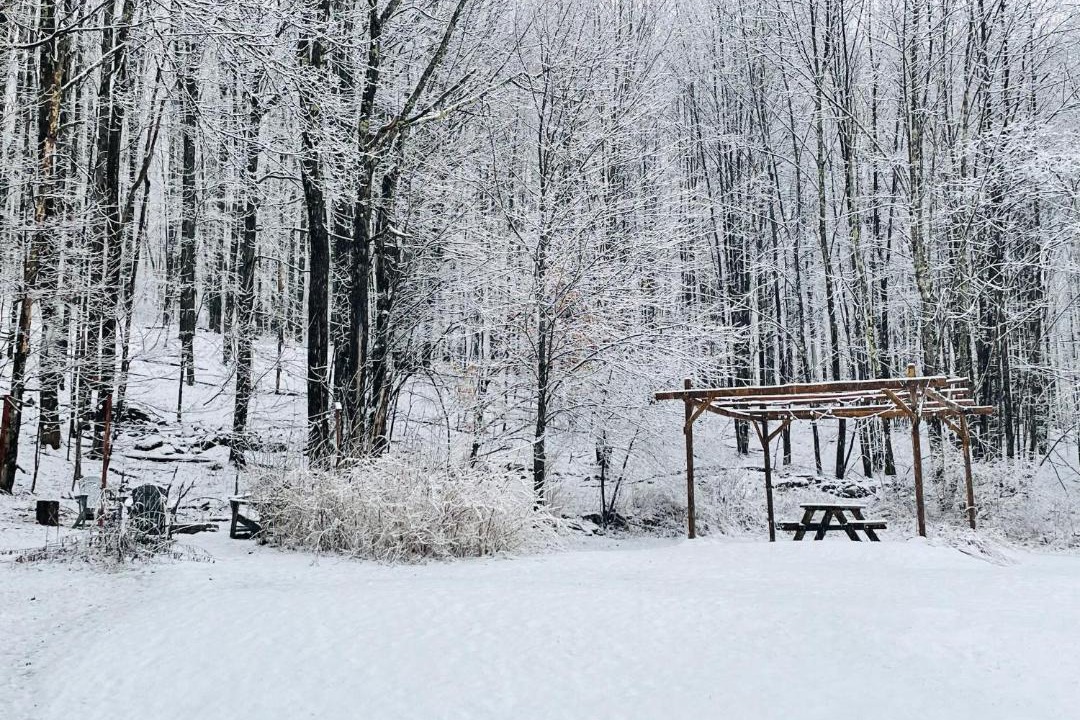 Photo of Others in Livingston Manor