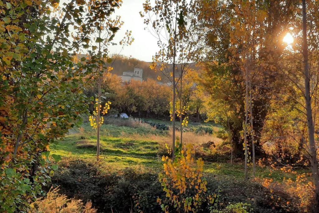 Photo of Others in Adrada de Haza
