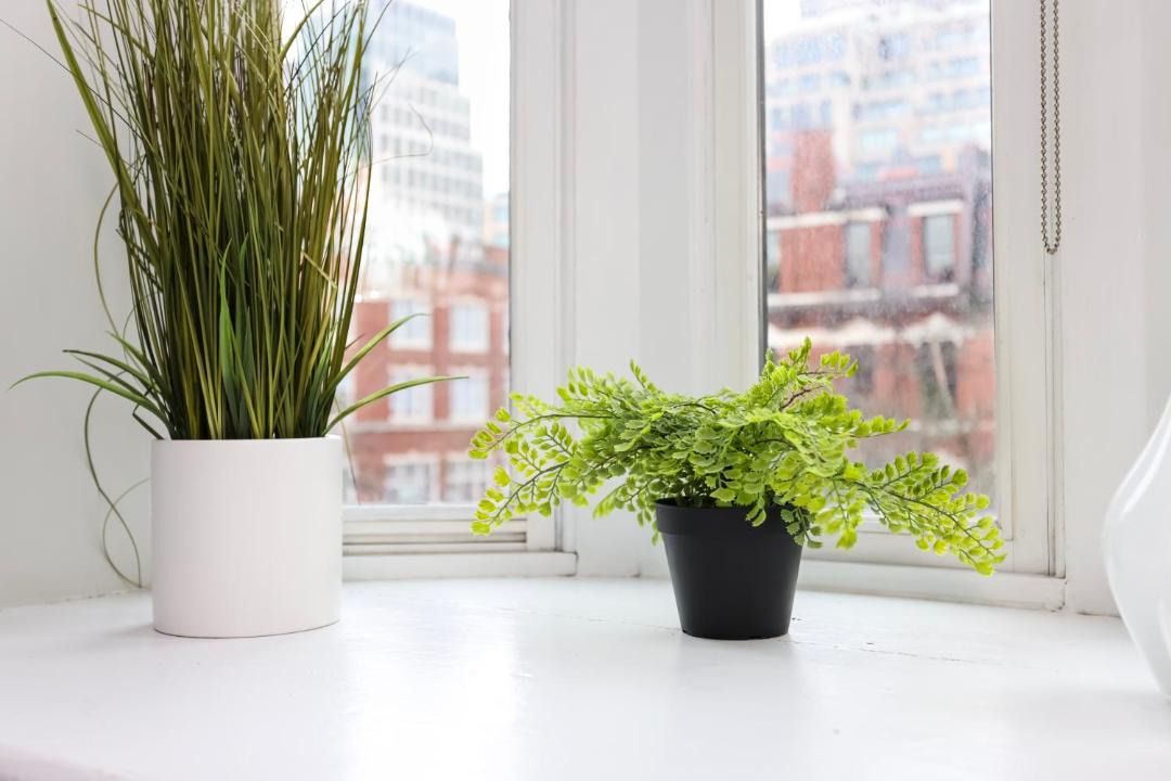 Photo of Others in Back Bay