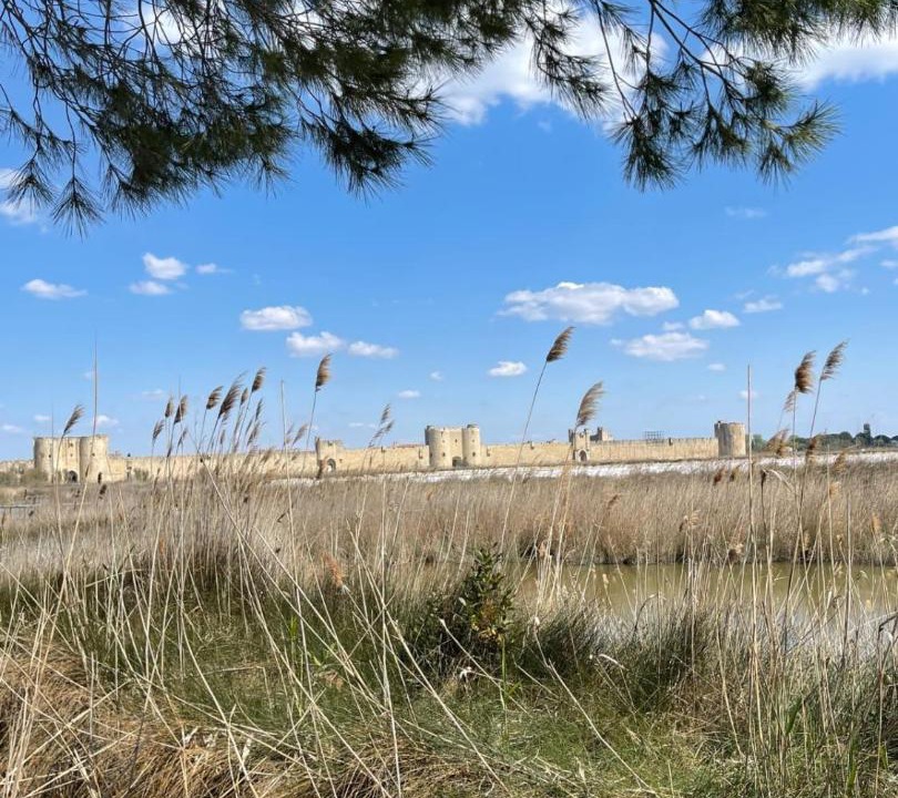 Photo of Others in Aigues-Mortes