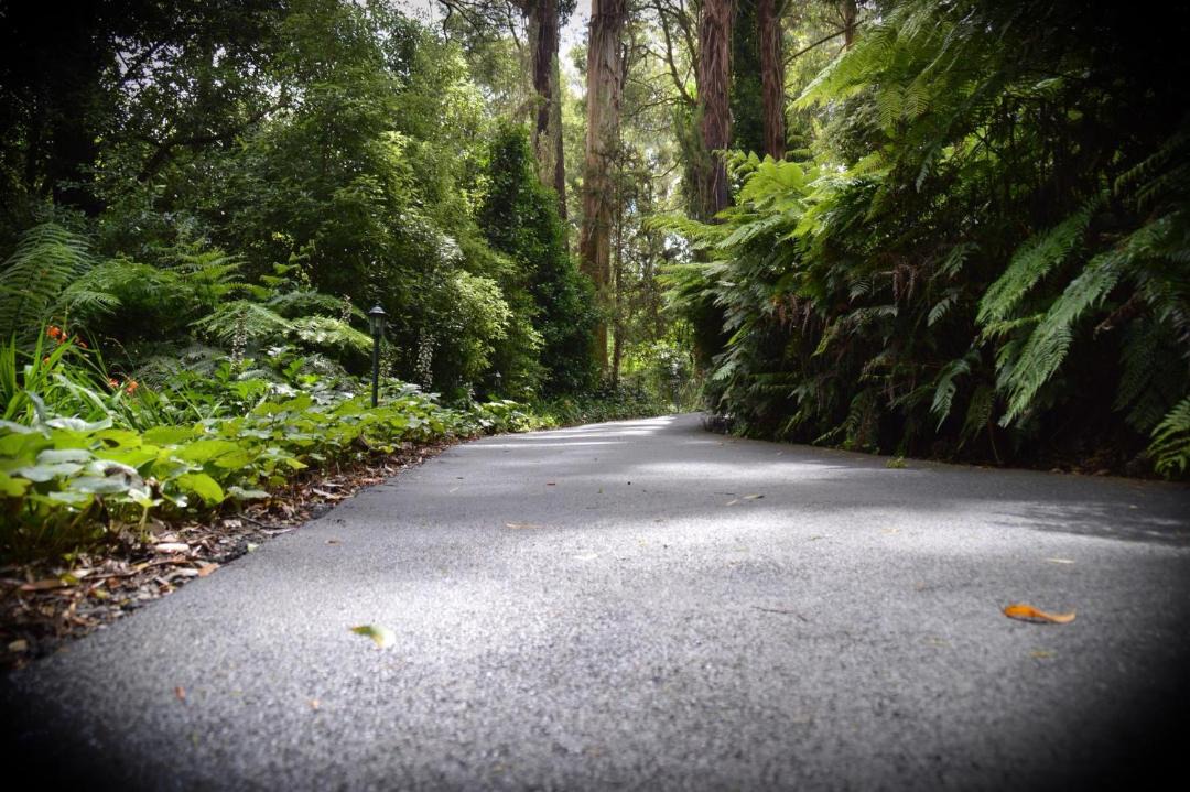 Photo of Others in Mount Dandenong