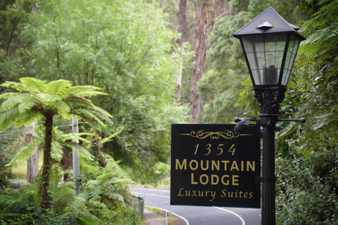 Photo of Others in Mount Dandenong