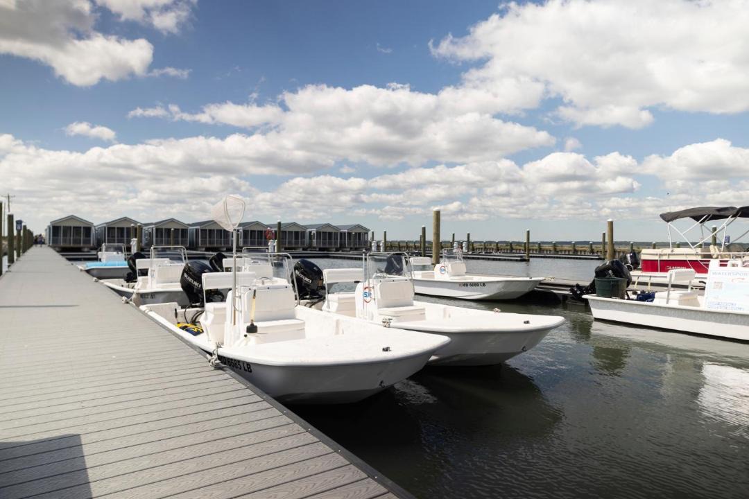 Photo of Others in Chincoteague