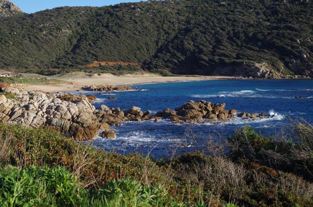 Photo of Others in Tizzano