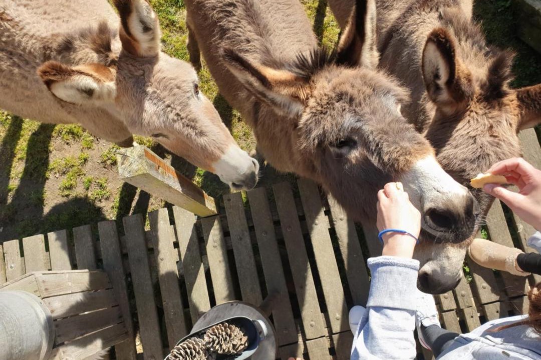 Photo of Others in Bressuire