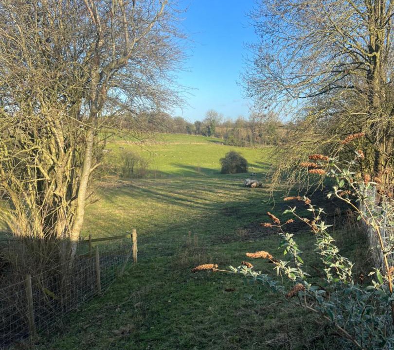 Photo of Others in Corsham