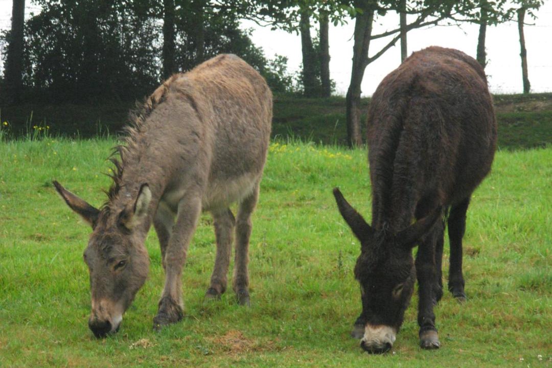 Photo of Others in Saint-Blimont