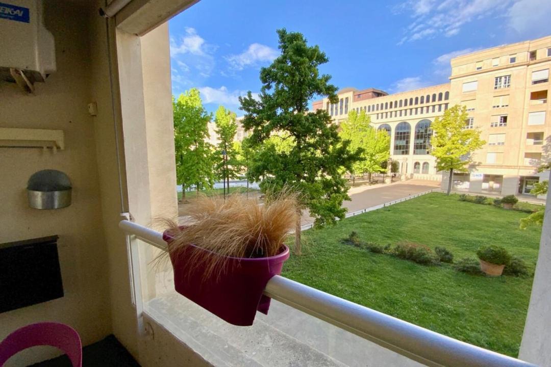 Photo of Others in Antigone