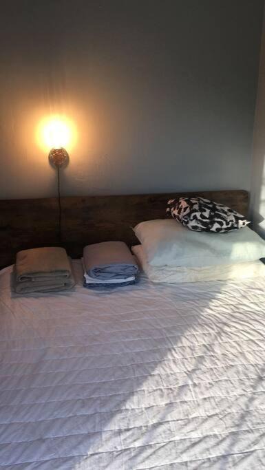 Photo of Others in East Rock