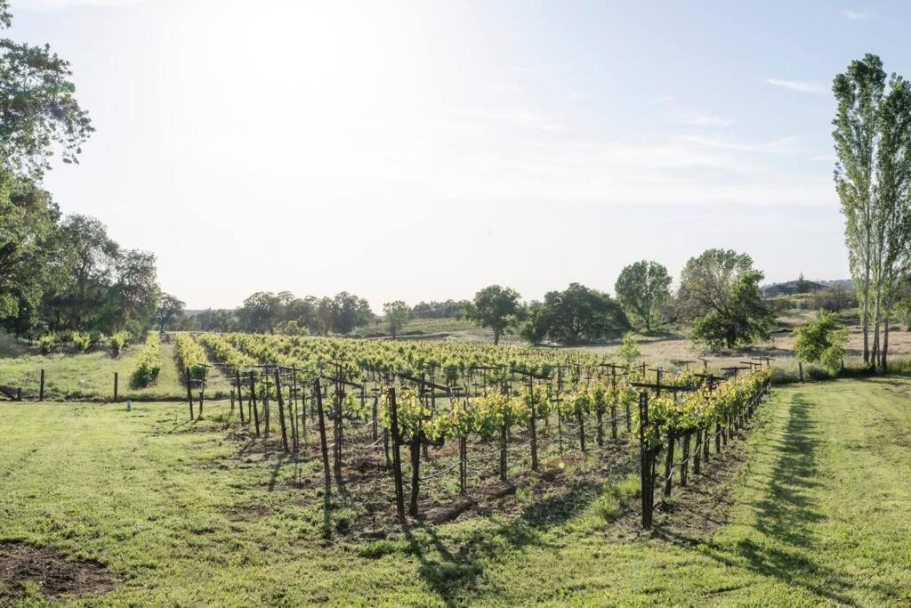 Photo of Others in Shenandoah Valley