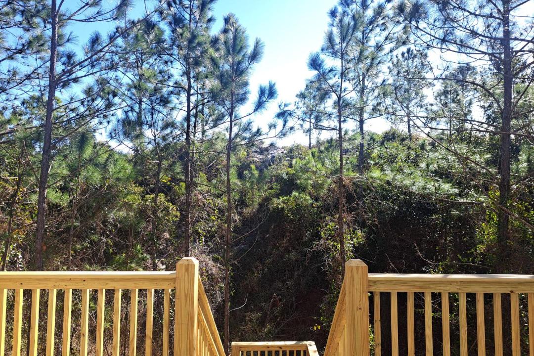 Photo of Others in Dauphin Island
