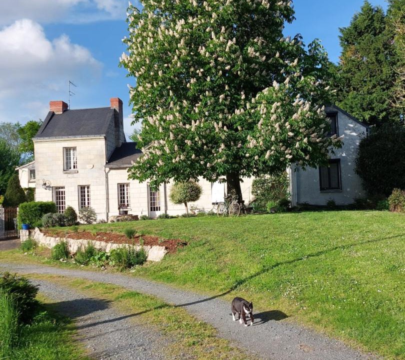 Photo of Others in Saumur