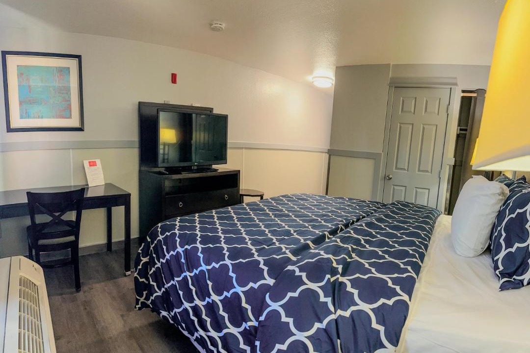 Photo of Others in Bitter Lake