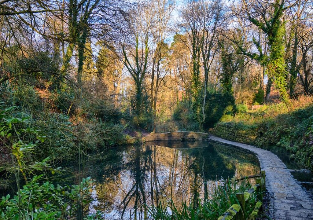 Photo of Others in Yeovil