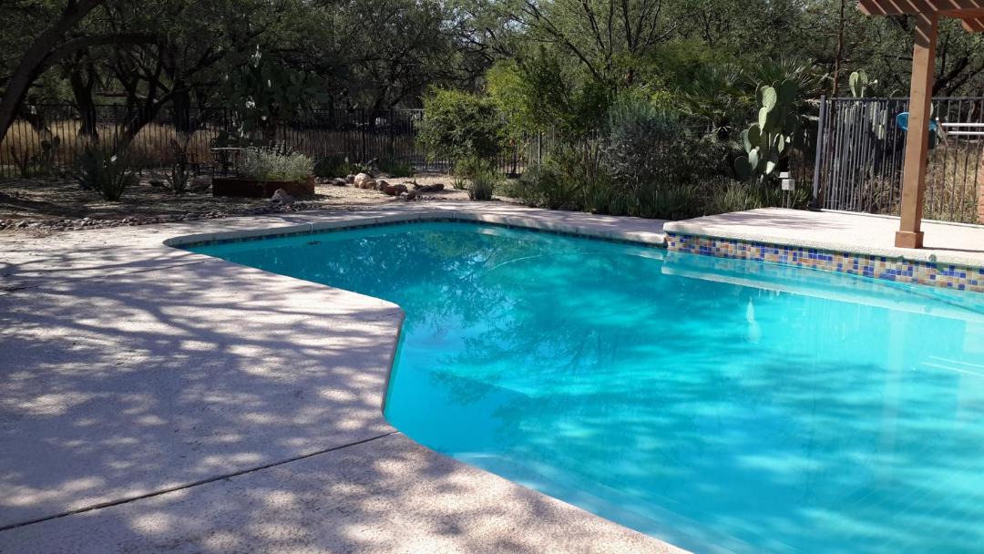 Photo of Others in Tanque Verde
