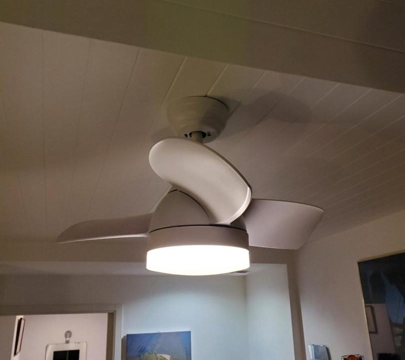 Photo of Others in Sene