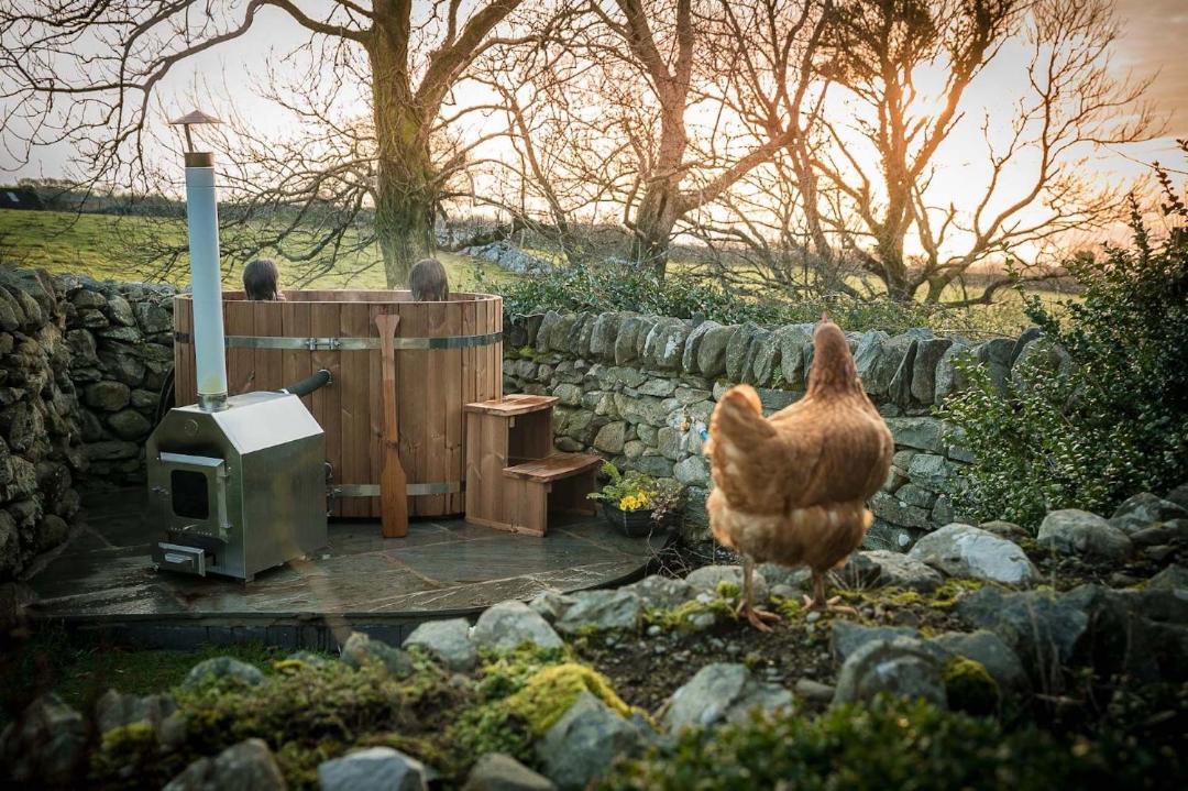 Photo of Others in Dyffryn Ardudwy