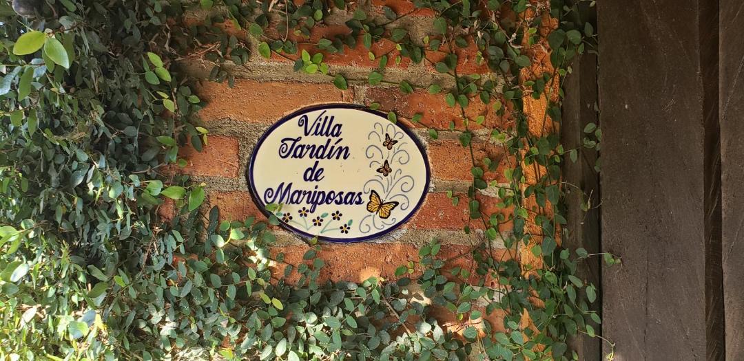Photo of Others in El Tuito