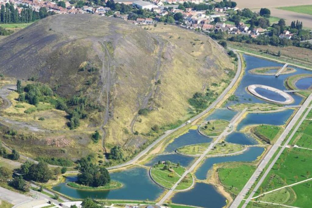 Photo of Others in Henin-Beaumont