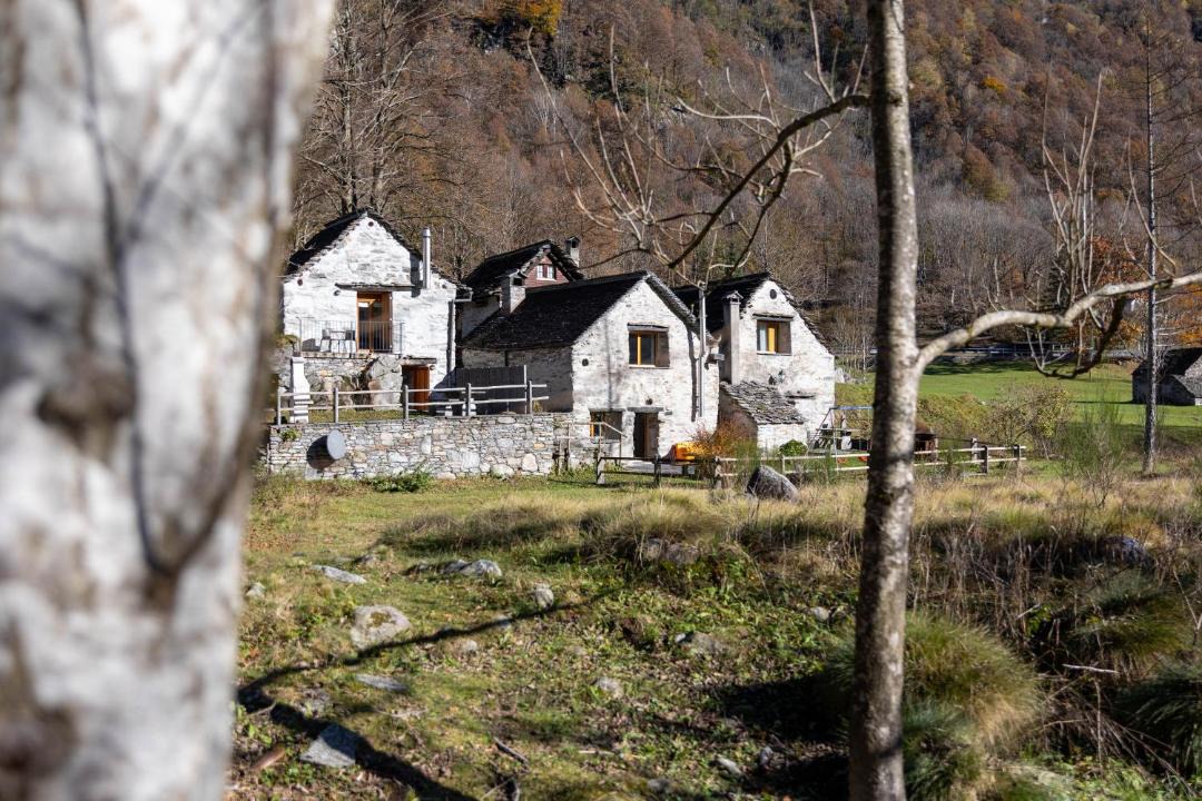 Photo of Others in Frasco