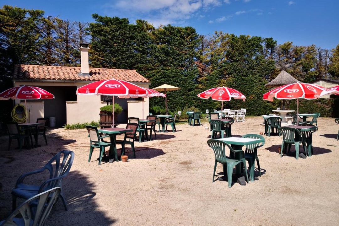 Photo of Others in Violes