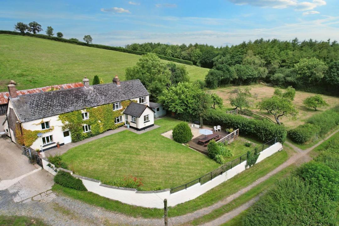 Photo of Others in Petrockstowe