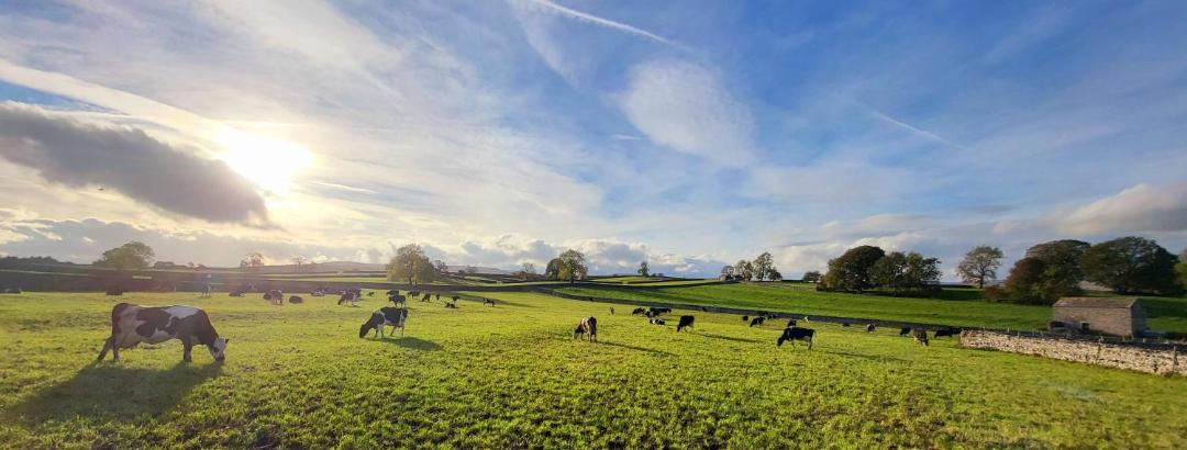 Photo of Others in Aysgarth