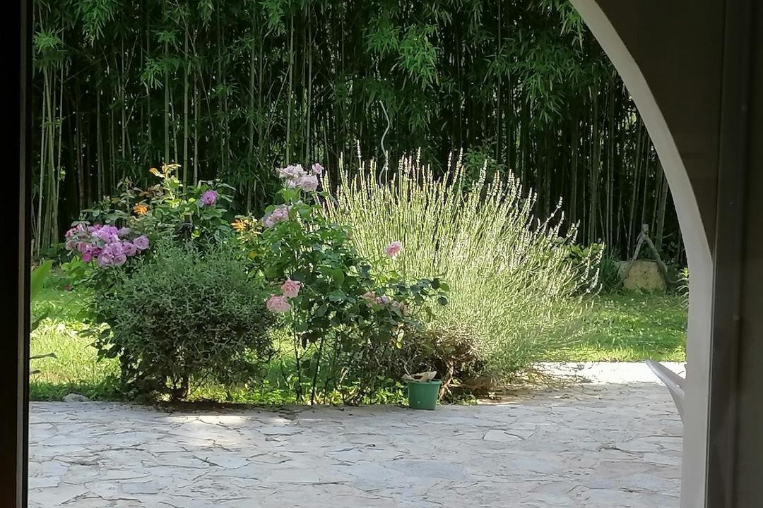 Photo of Others in Lussan