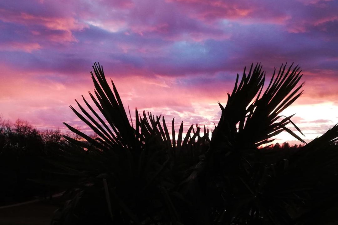 Photo of Others in Meyrals