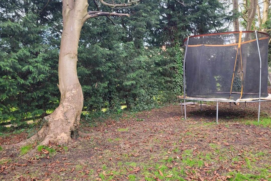 Photo of Others in Retford