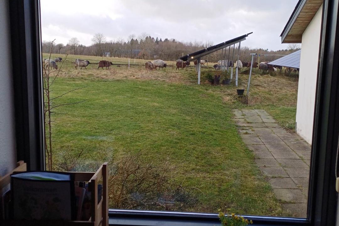 Photo of Others in Give