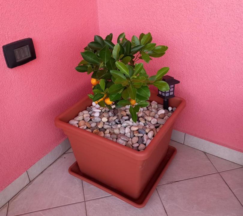 Photo of Others in Hreljin