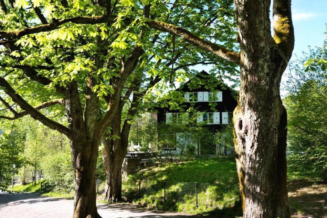 Photo of Others in Horgen District