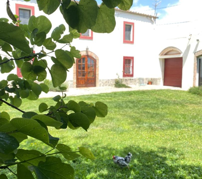 Photo of Others in San Martin Sarroca