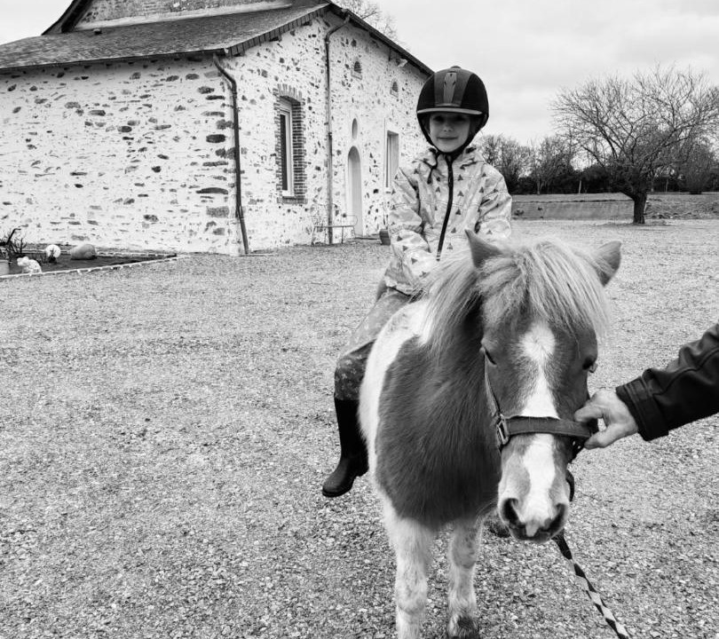 Photo of Others in Mee