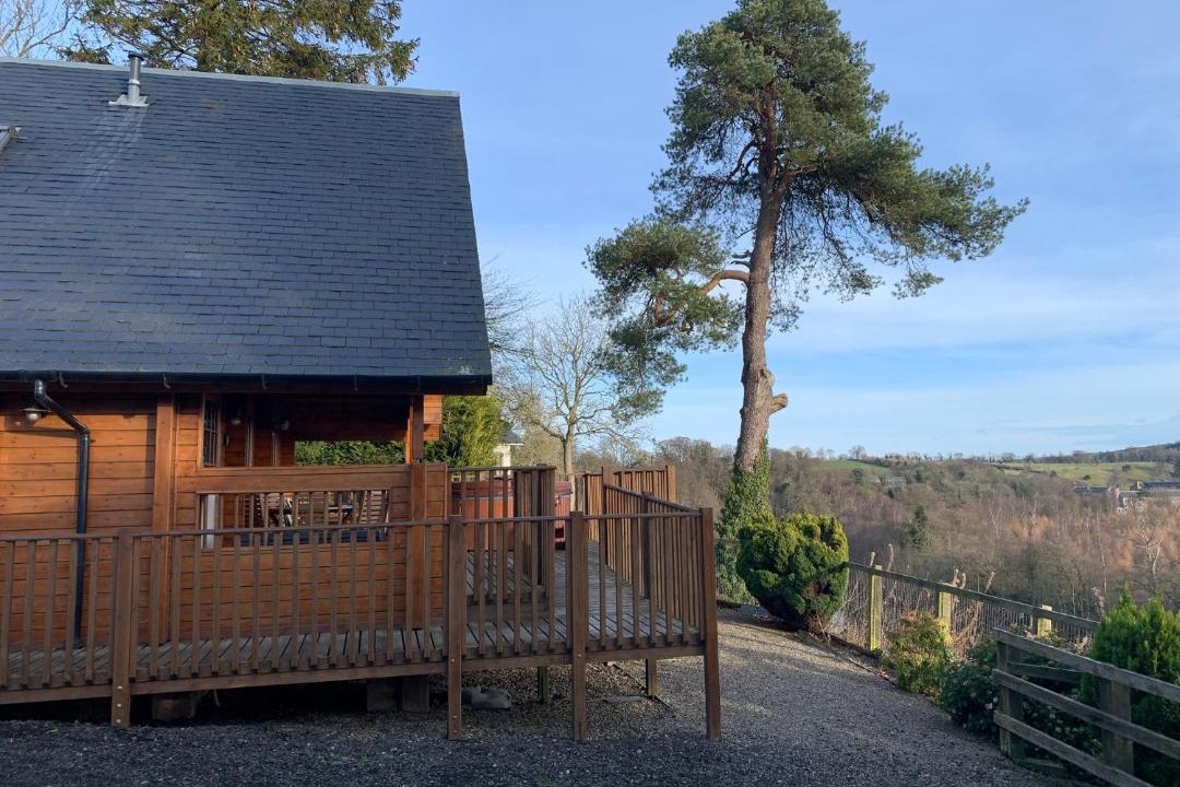 Photo of Others in Stanley